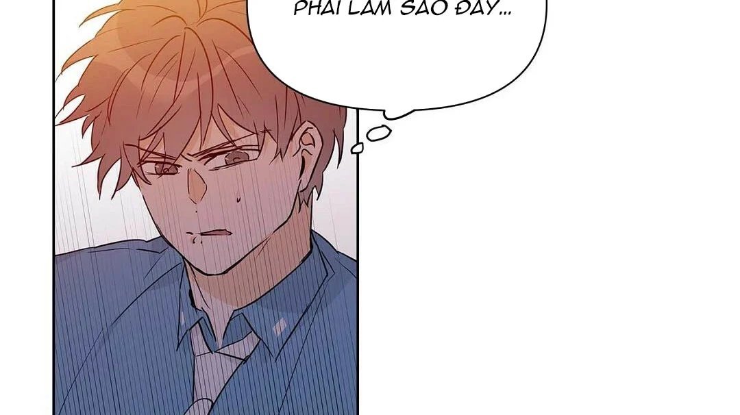 guide cấp b chapter 26 131