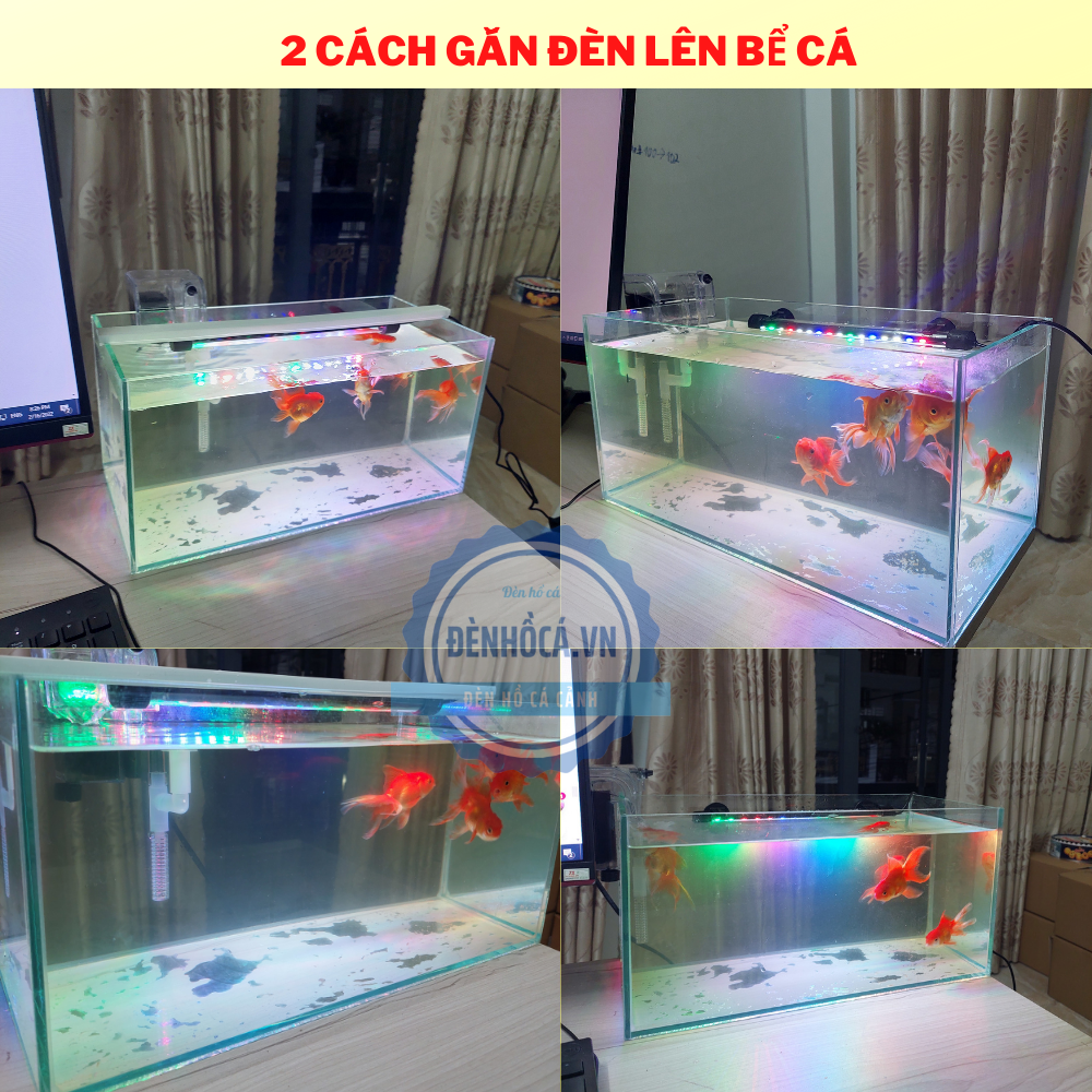 Bể cá mini 40cm COMBO C27 RGB