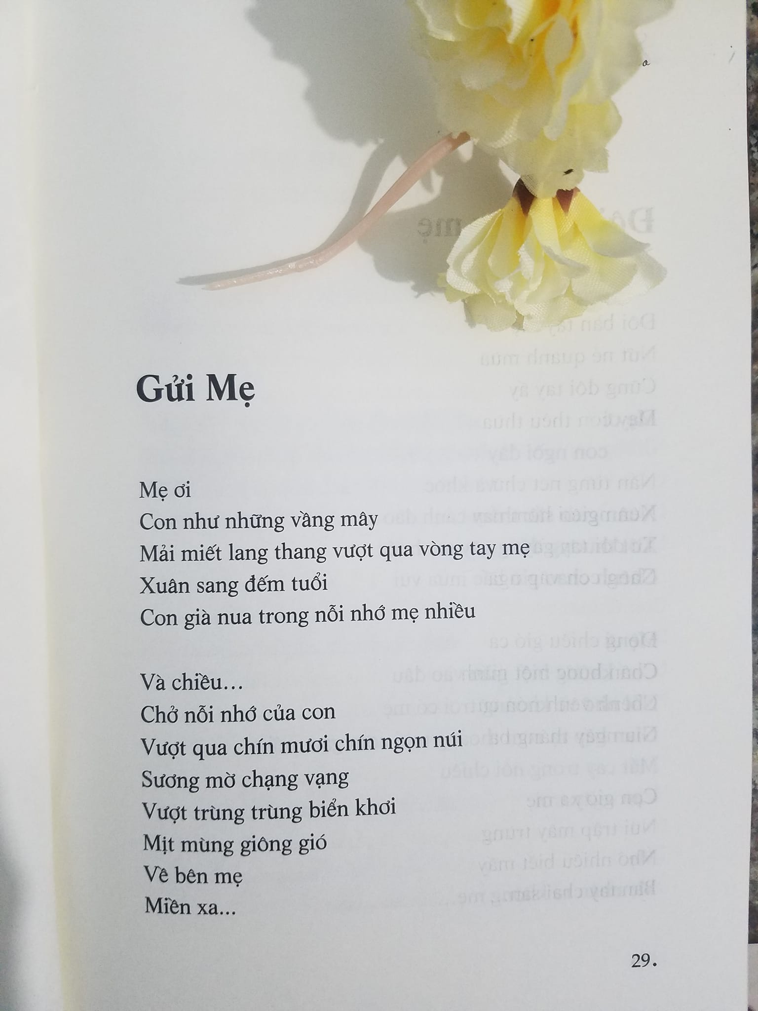 Mơ cùng tháng chạp