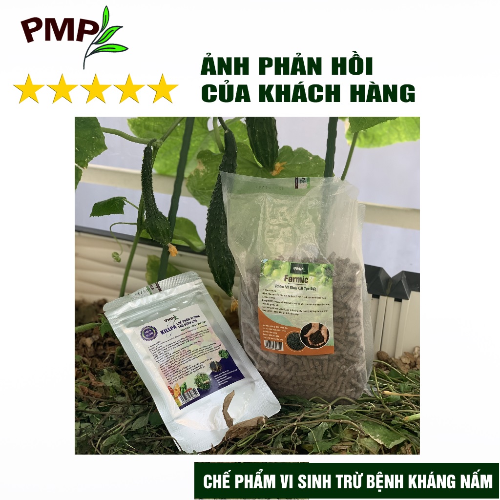 Chế phẩm vi sinh Killpa PMP trừ bệnh, kháng nấm cho rau sạch, hoa, cây cảnh, an toàn, hiệu quả