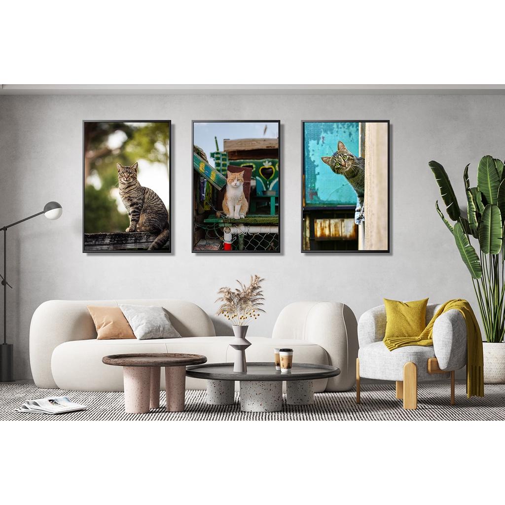 Bộ 03 tranh canvas treo tường chủ đề MIU CƯNG + khung composite và đinh treo – decor phòng xinh xắn và ấn tượng – BST01