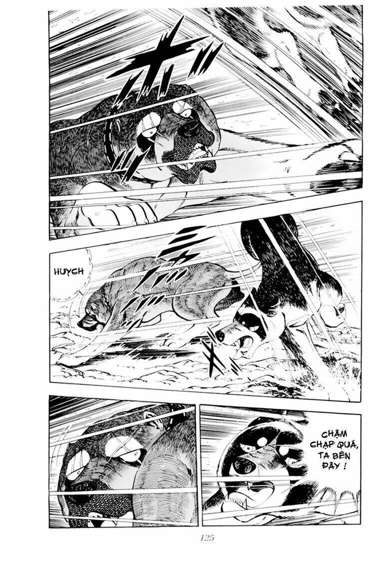 chú chó có nghĩa - ginga nagareboshi gin chapter 33.1 19