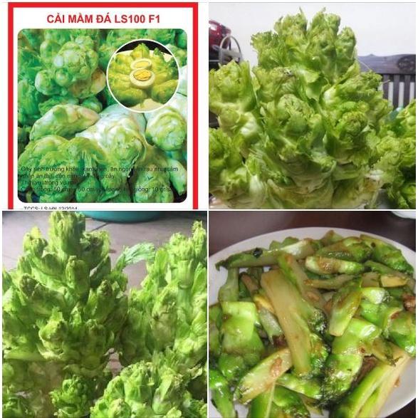 Combo 9 gói hạt giống rau cải và rau ăn mầm các loại-tặng kèm gói phân bón lót