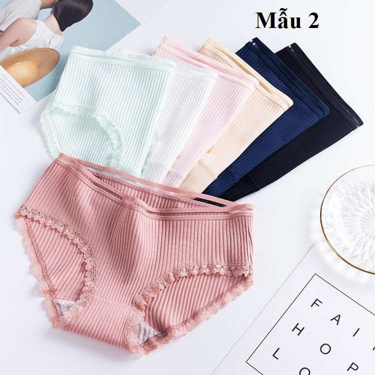 Quần Lót Cotton Cao Cấp Cạp Sọc Xuất Nhật QL05