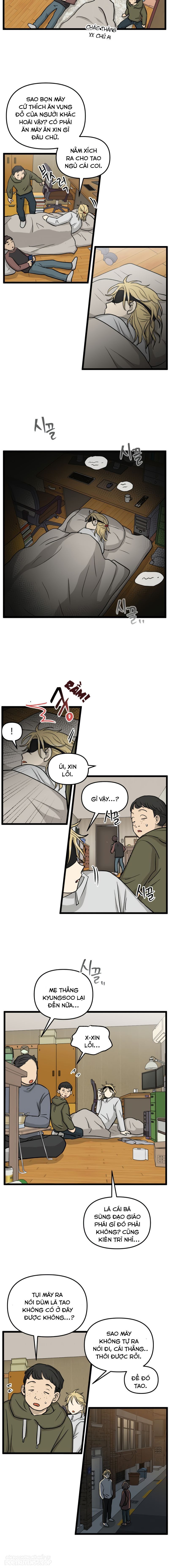 no home - không nhà chapter 217 10