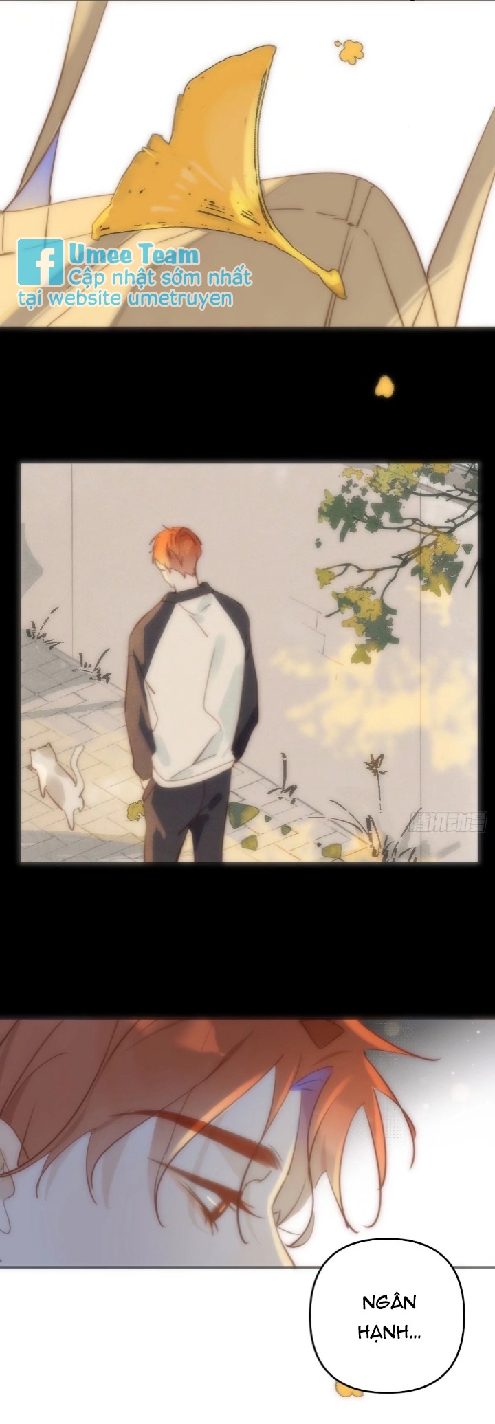 đêm đầy sao nói với em chapter 23 3