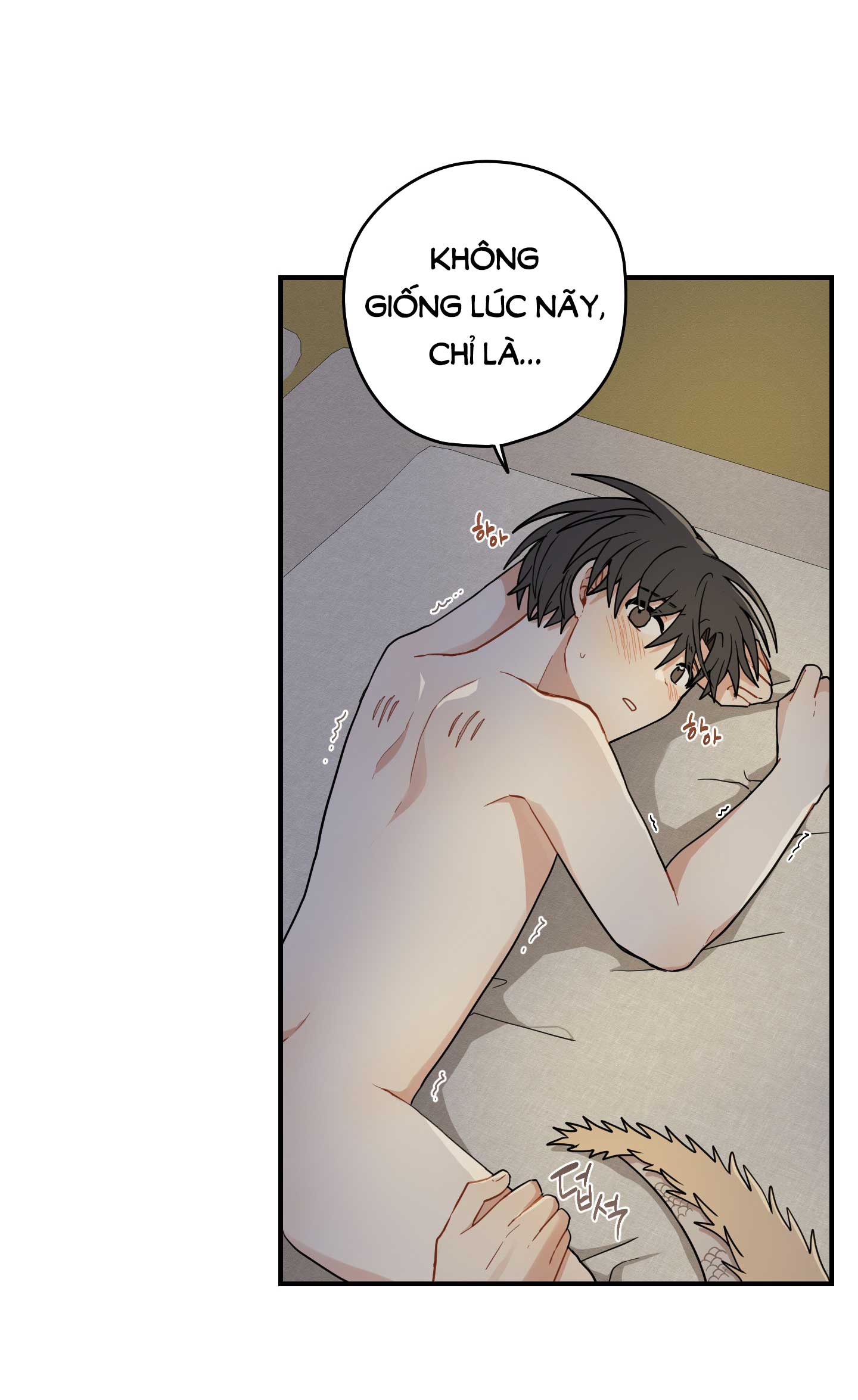 [18+] con đường hoa chuông vàng - liên kiều rơi chốn này chapter 52.2 11