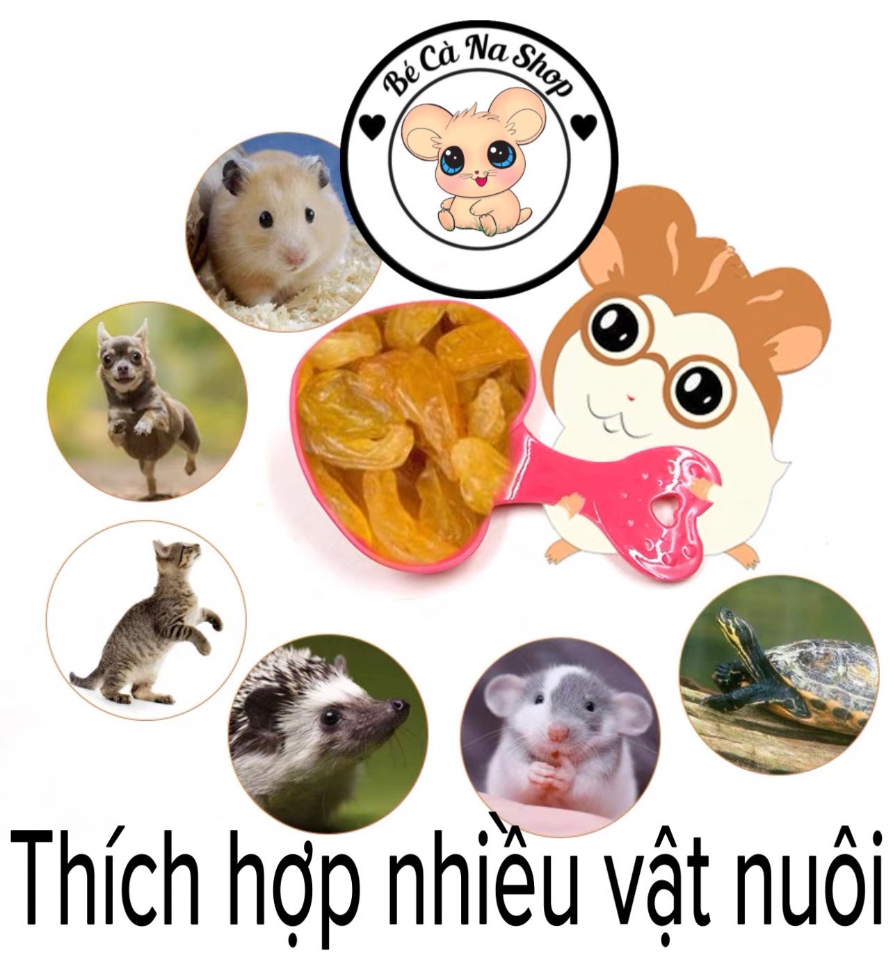 Nho vàng khô, trái cây tự nhiên , thức ăn cho hamster thỏ bọ sóc..