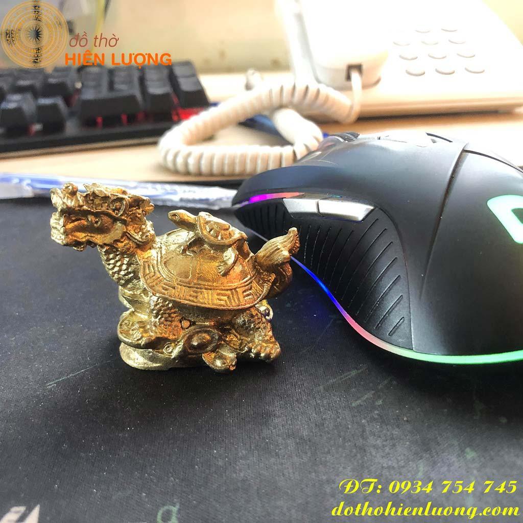 Long Quy Mini - Rùa Đầu Rồng
