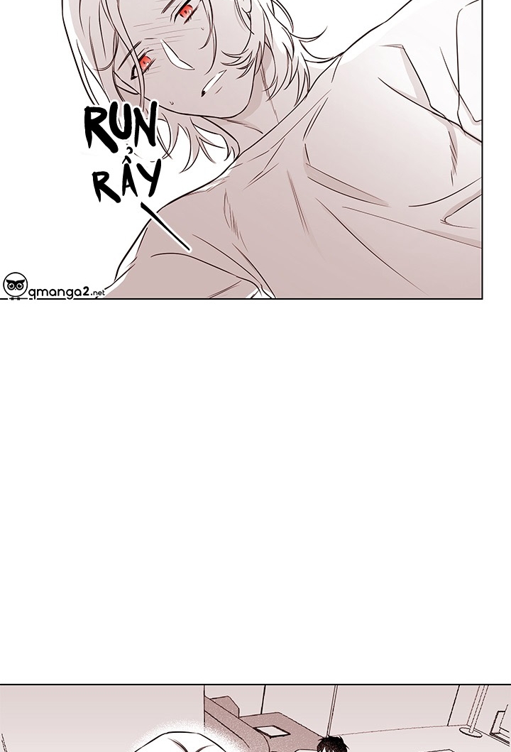 bữa tiệc của những đóa hoa chapter 21 62