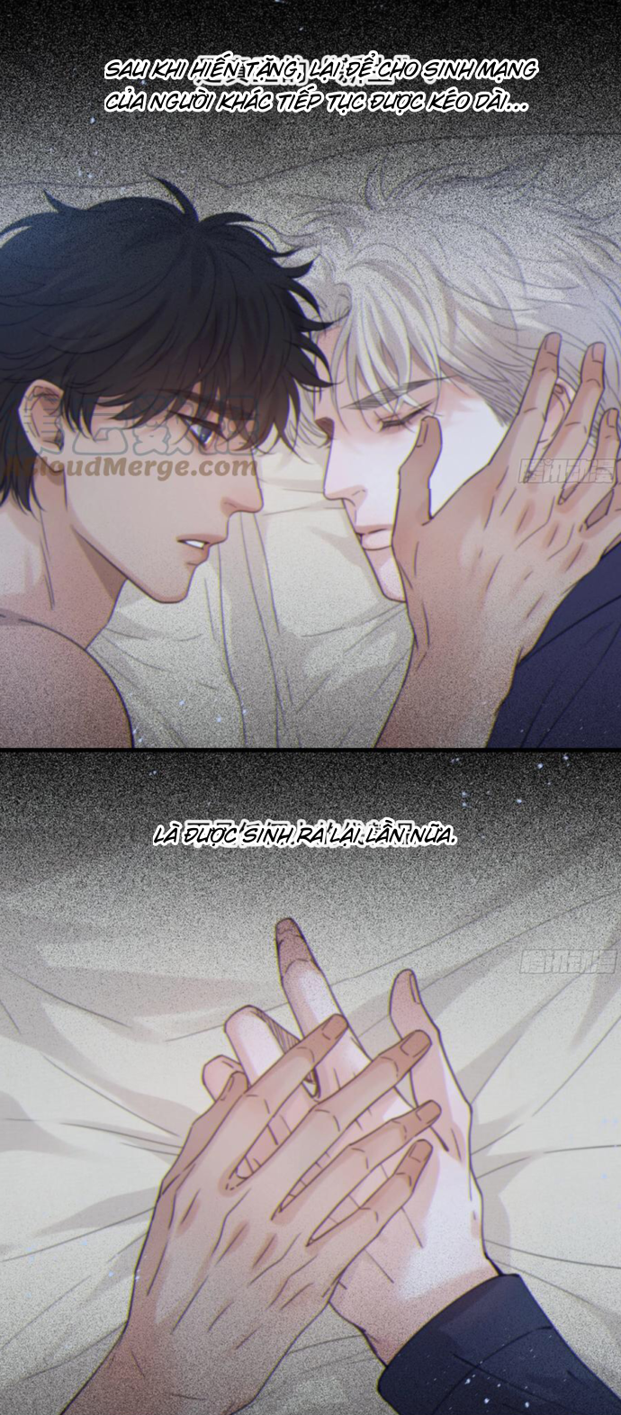 đêm sao chapter 52 16