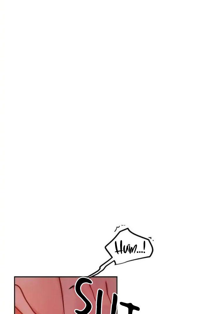 đối tác cơ thể hoàn hảo chapter 20 56