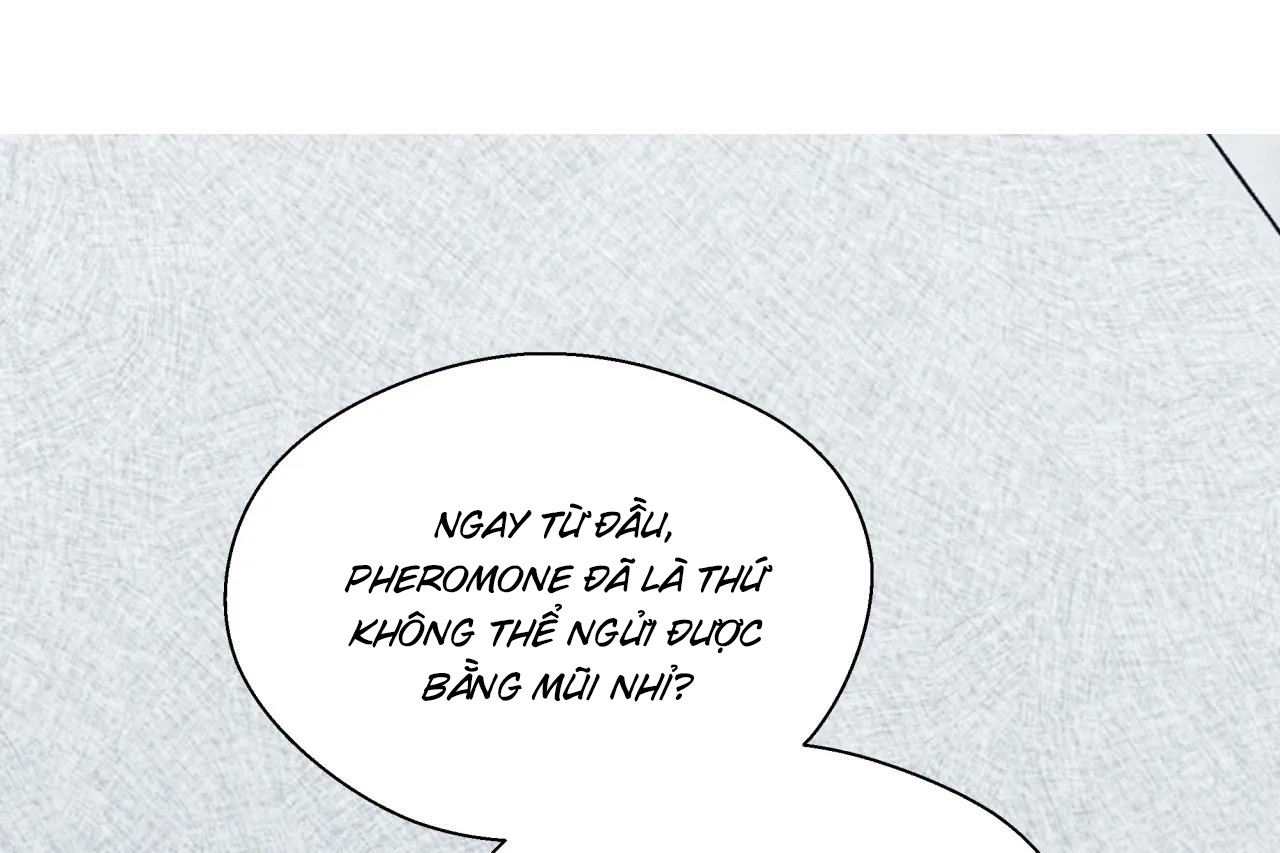 ám ảnh pheromone chapter 60 27