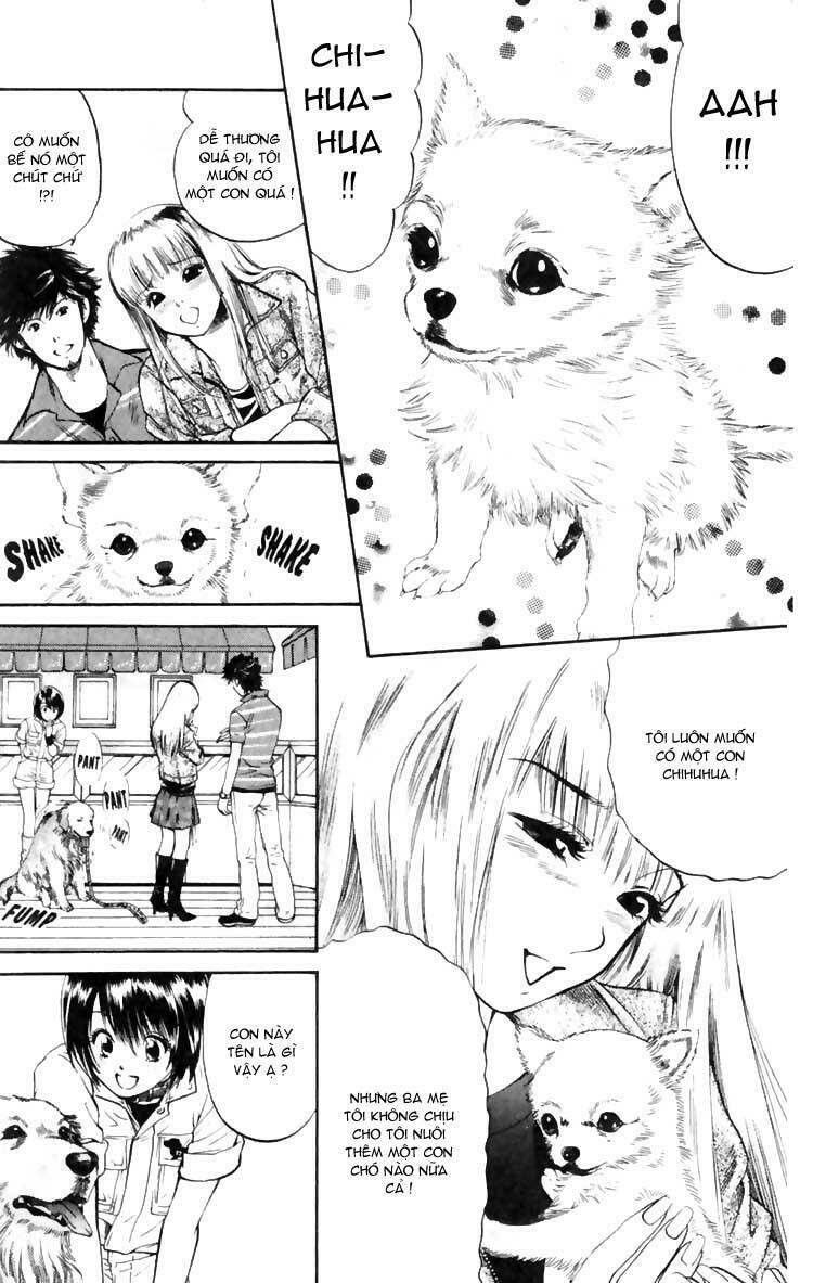 cô nàng yêu chó chapter 5 10