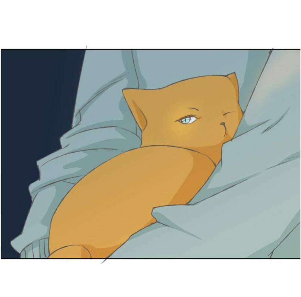 tôi không phải đa nhân cách chapter 14 17