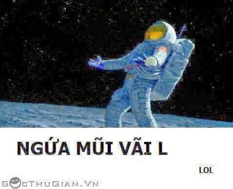 hình ảnh hài hước new chapter 27 3