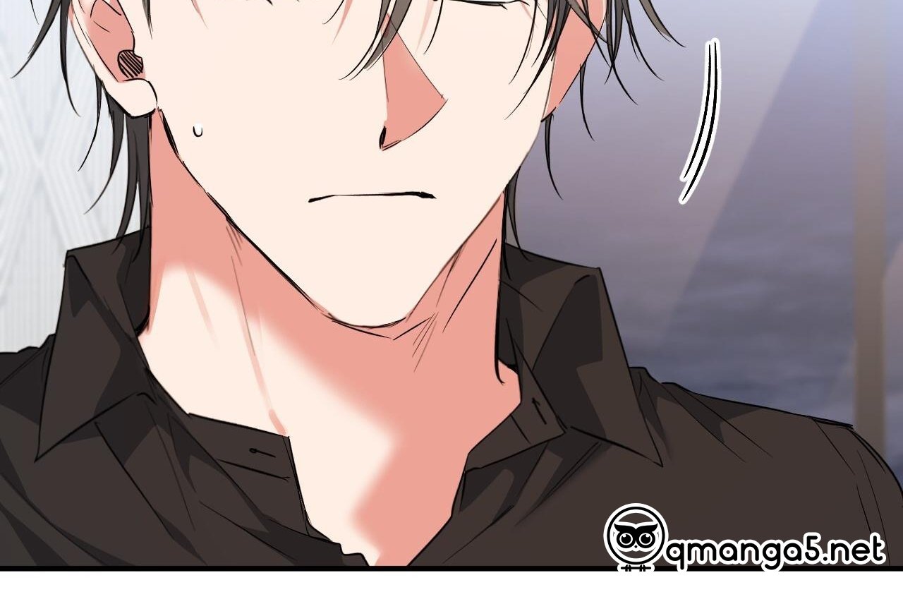 những chú thỏ của hapypy chapter 61 133