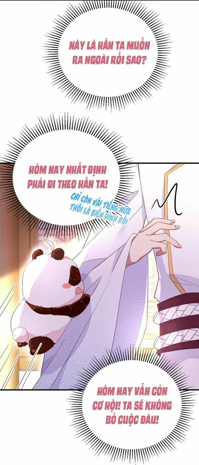 thiên thần gấu trúc muốn được ôm chapter 39 4