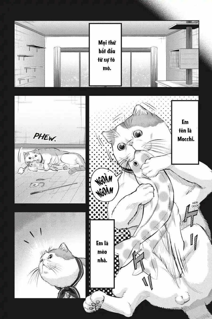 nyankees chapter 10 13