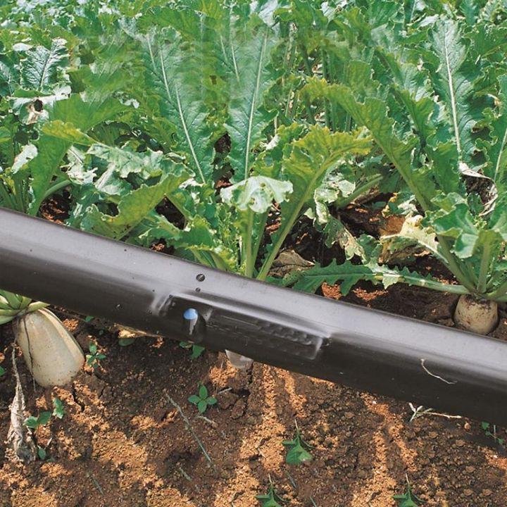 Dây nhỏ giọt dày 0.15mm khoảng cách 20cm