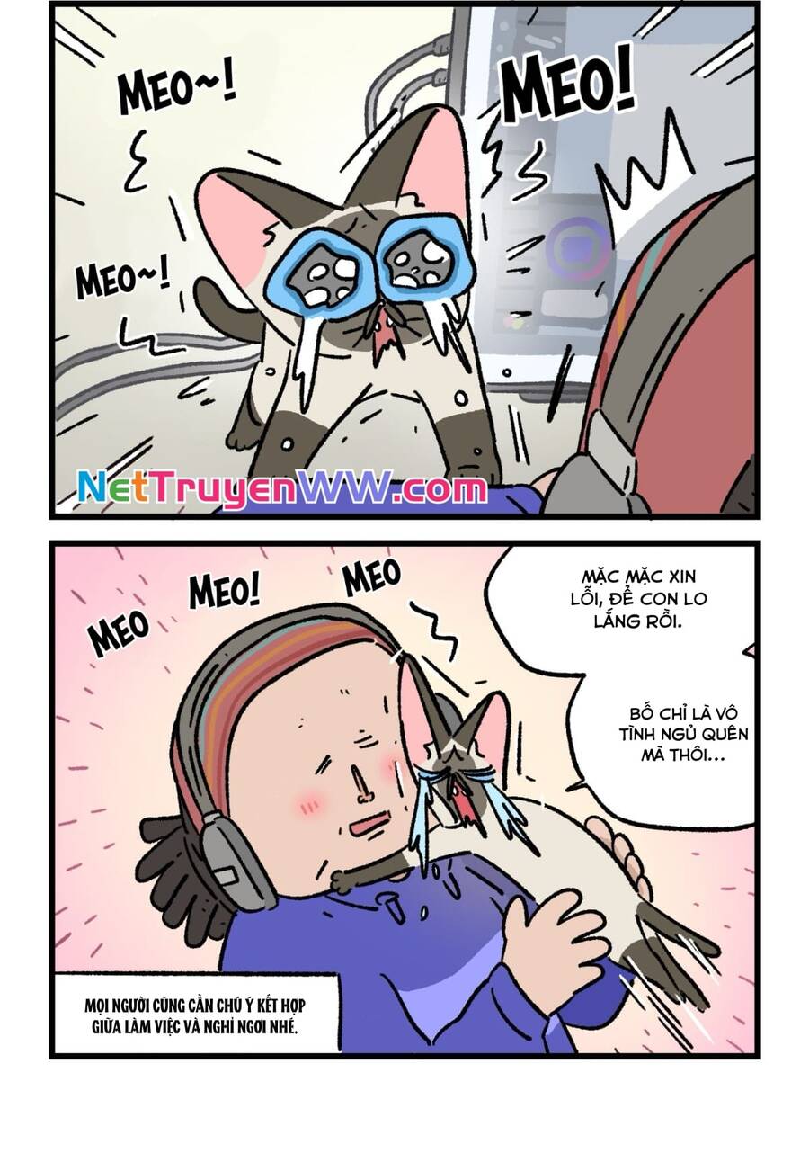 a mãn và mạch trà chapter 183 2