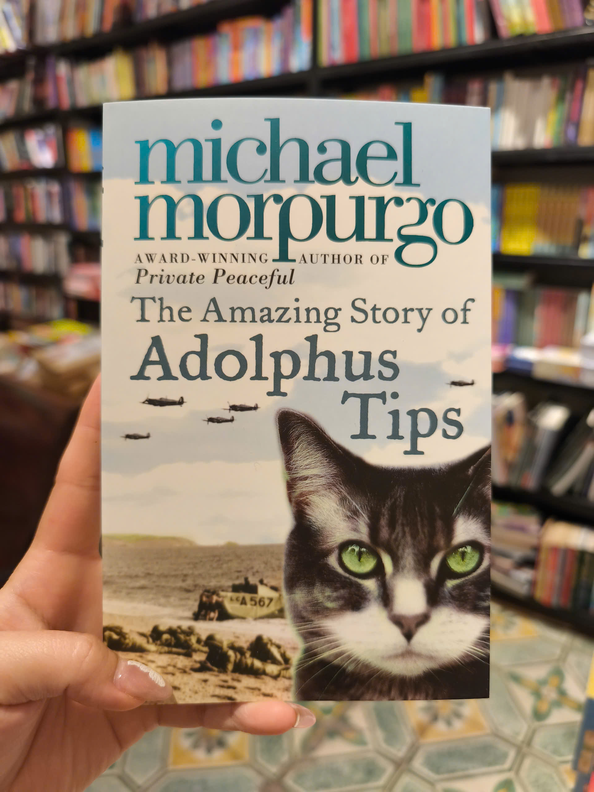 Sách - The Amazing Story of Adolphus Tips by Michael Morpurgo - Children Story book in English