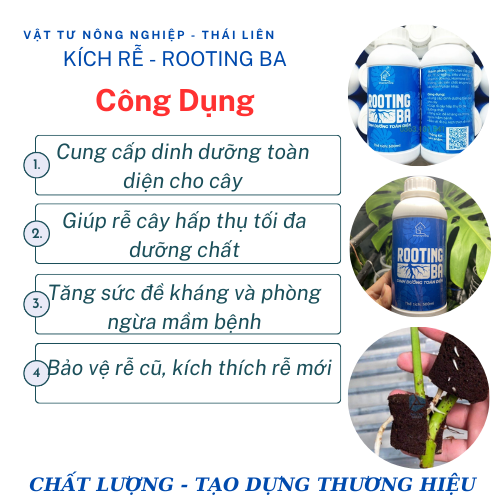 [Siêu kích rễ] Dung Dịch Kích Rễ ROOTING BA Dùng Cho Sen Đá, Kiểng Lá, Hoa Lan Và Cây Cảnh - Chai 500ml