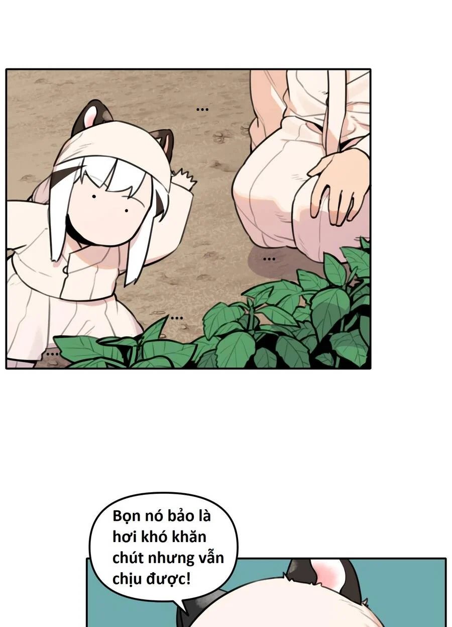 sự lụi tàn của usuzumi chapter 91 53