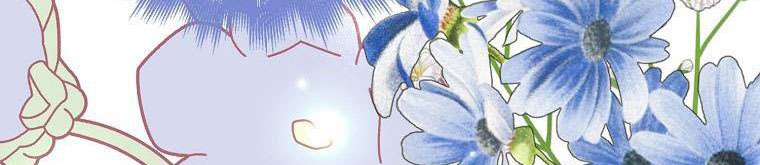 xin hãy kết hôn với em chapter 37 204