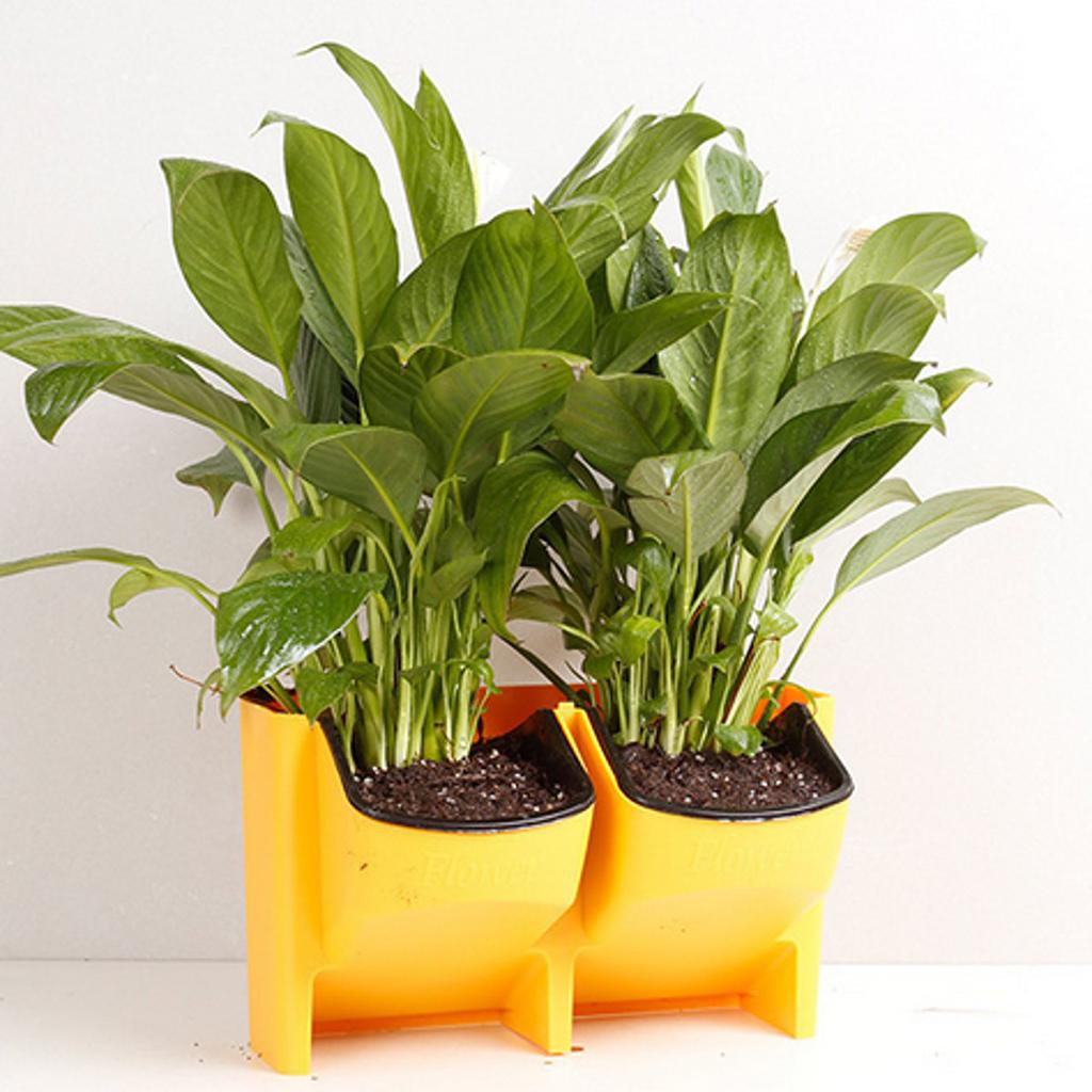 Stackable Wall Planter Garden Hanging Flower Plant Pot Self Watering