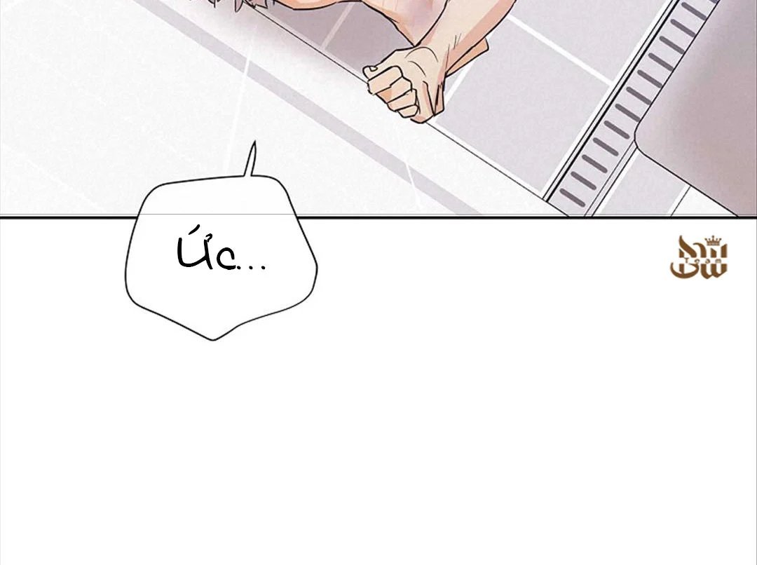 guide cấp b chapter 29 59