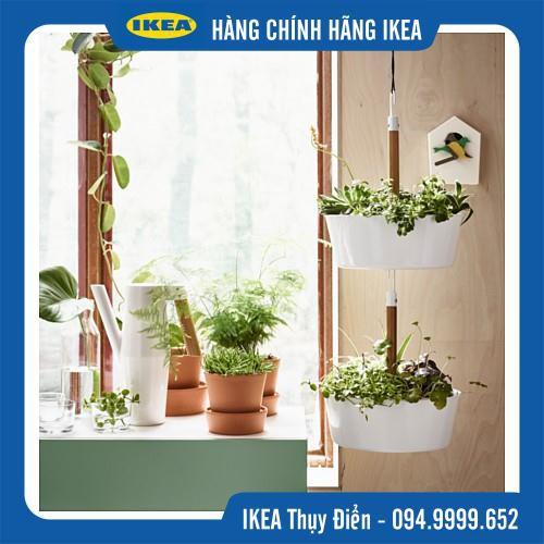 BITTERGURKA - Bình tưới cây 2l