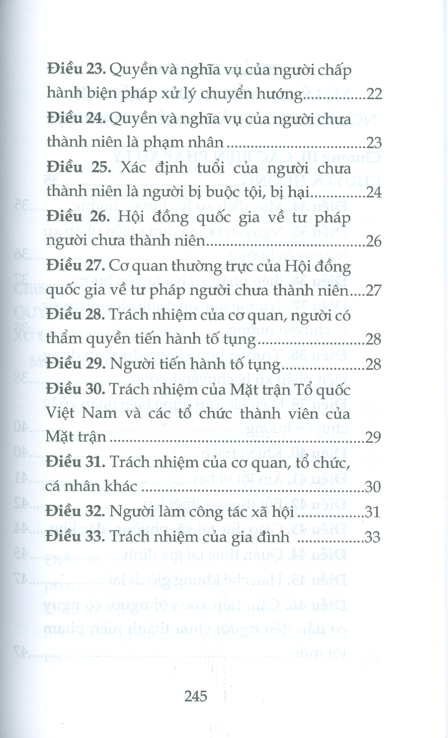 Luật Tư Pháp Người Chưa Thành Niên (Sửa Đổi, Bổ Sung Năm 2025)
