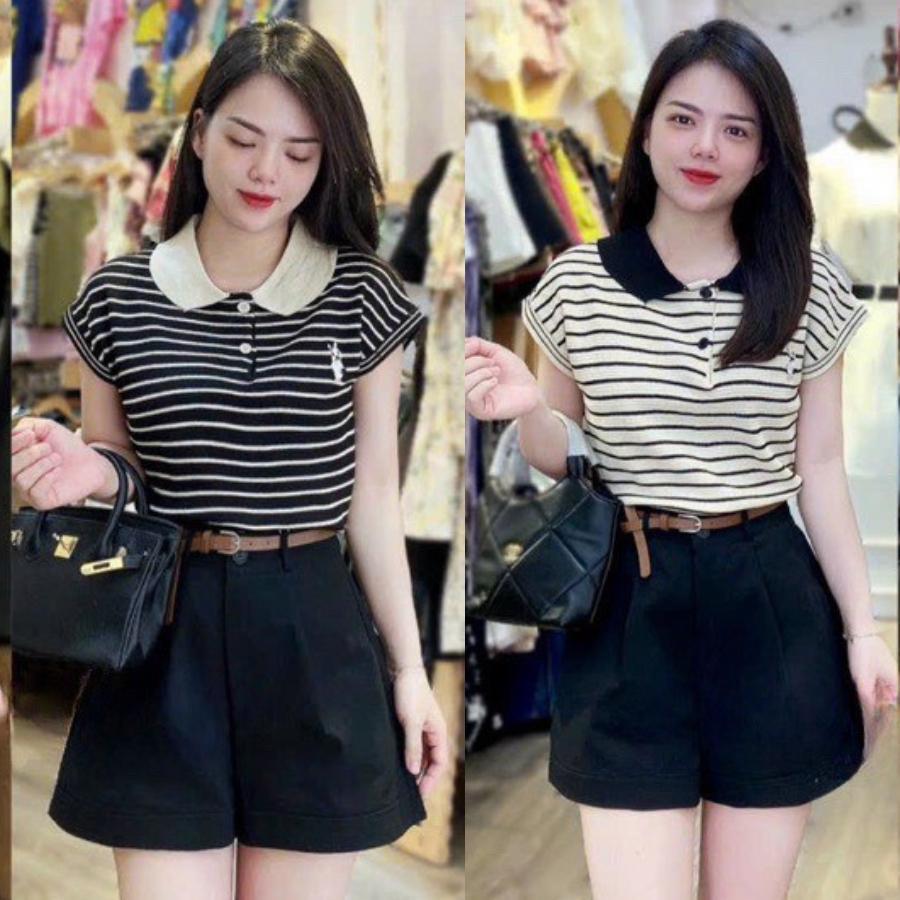 Áo len Montoghi dệt kim SỌC GÂN LOGO THỎ tay cánh dơi viền kiểu mới