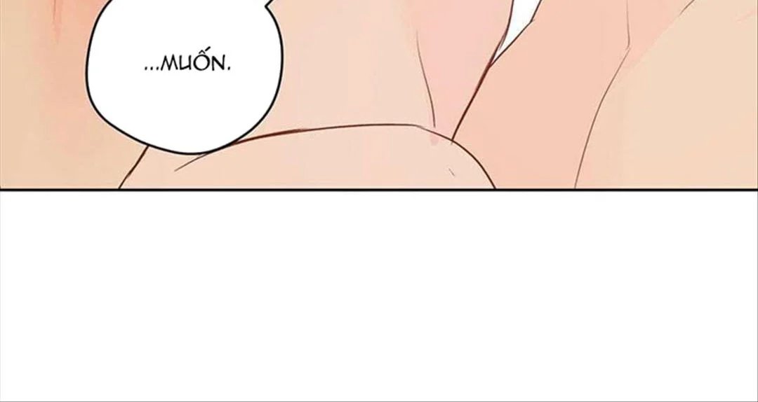 chuyện quái gì với giấc mơ đó vậy chapter 32 36