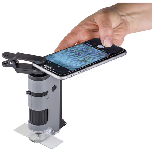 Kính hiển vi bỏ túi cao cấp Carson MicroFlip MP-250 có đèn tia cực tím UV kiểm tra tiền - Hàng chính hãng