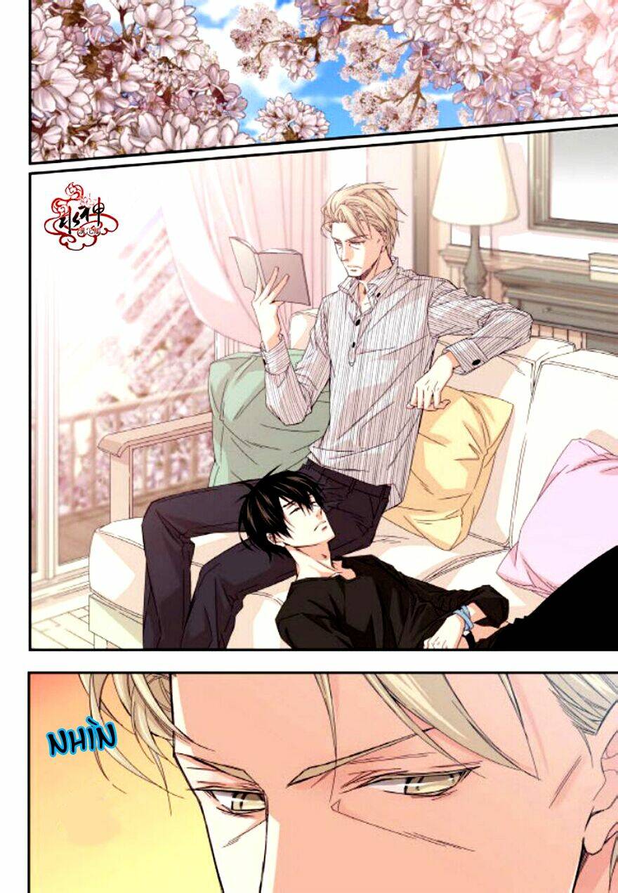 baba muốn xuất giá chapter 18 15