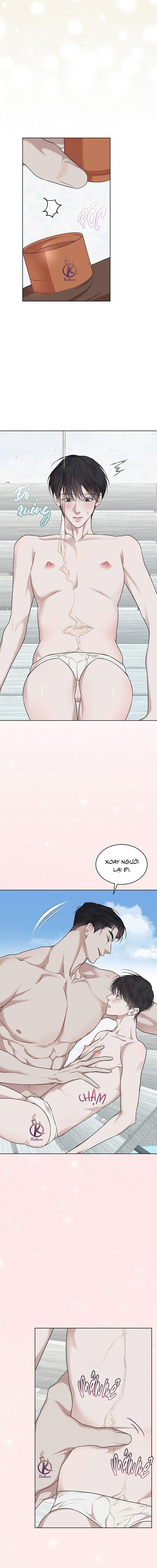 hình thái khởi sinh chapter 81 7