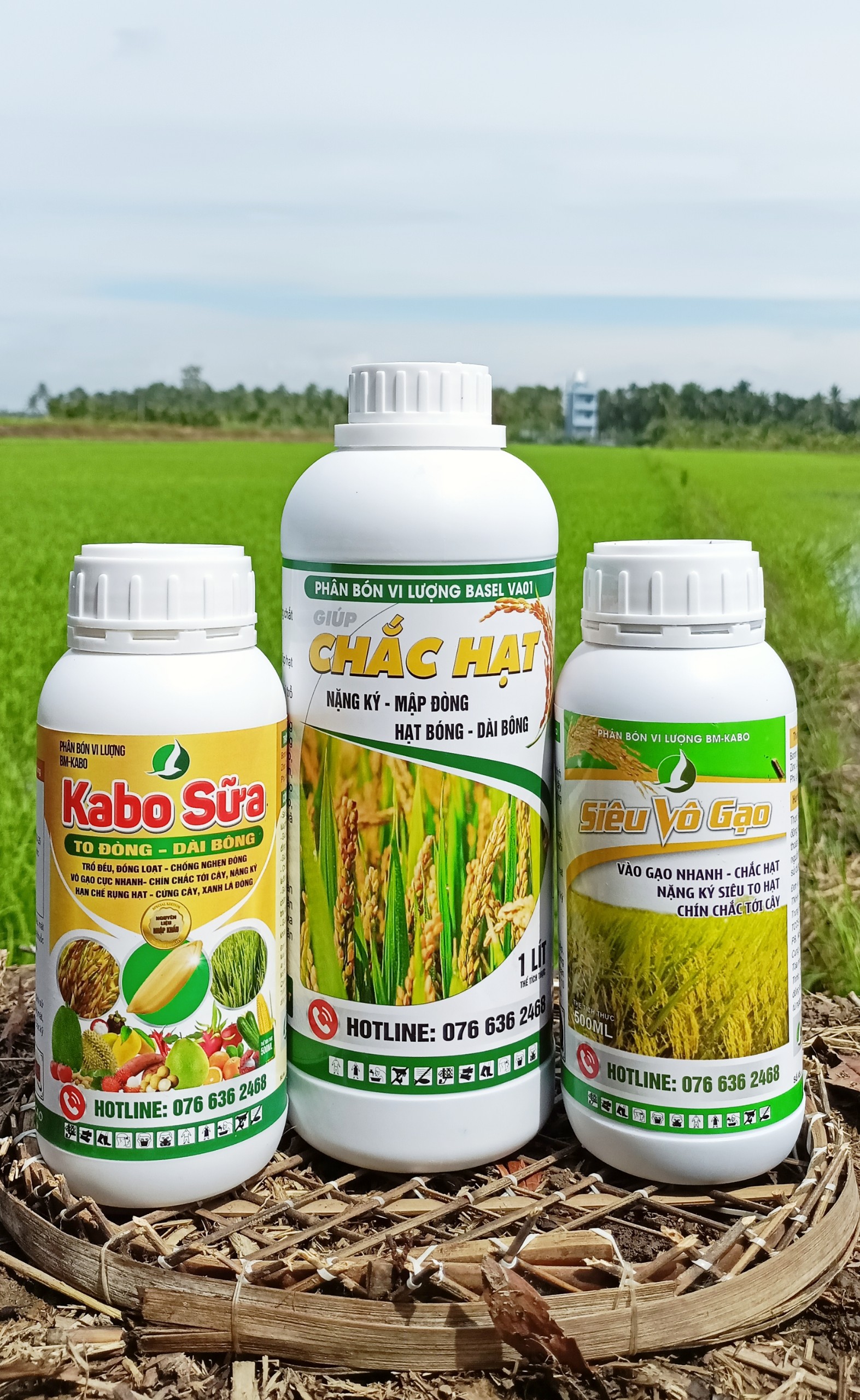 COMBO 03 CHAI PHÂN BÓN ĐÓN ĐÒNG ĐẾN THU HOẠCH TRÊN LÚA - VÀO GẠO NHANH, HẠT CHÍN CHẮC, NẶNG KÍ - SỬ DỤNG 5.000M2