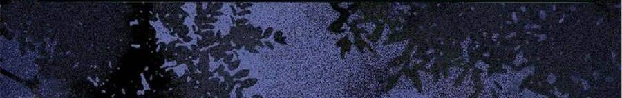 thần y khí nữ: ngự thú cuồng phi của quỷ đế chapter 96 11