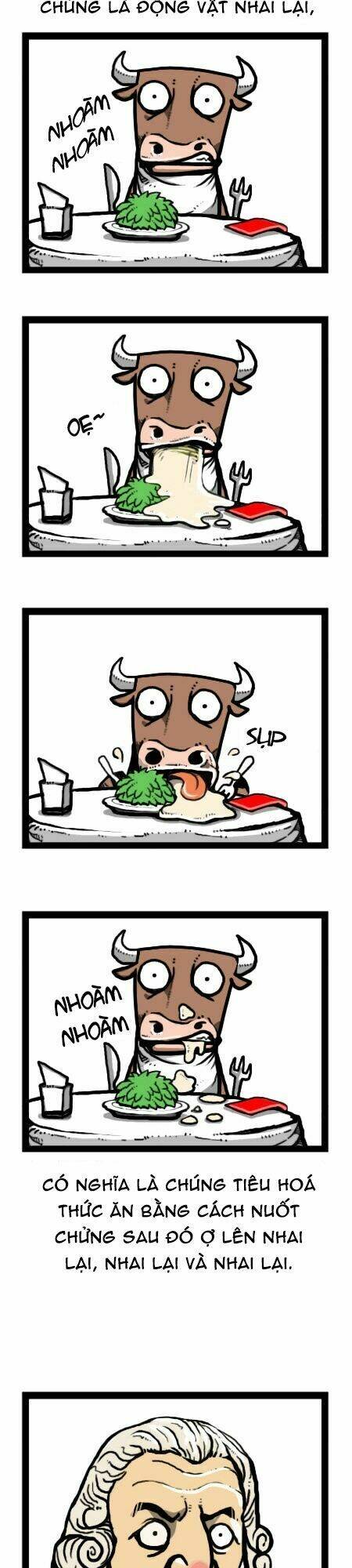 earth, human, and animal chapter 24 16