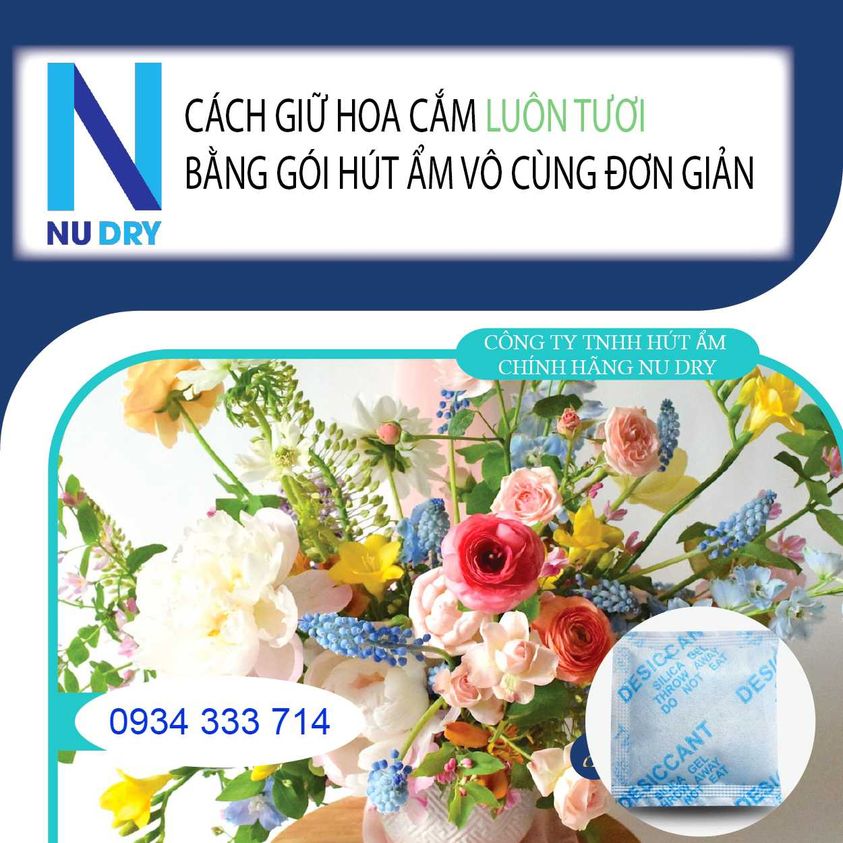 Hạt hút ẩm 500GR Silicagel xanh gói hút ẩm Máy ảnh linh kiện điện  Phòng Ngủ  Quần áo Giày dép