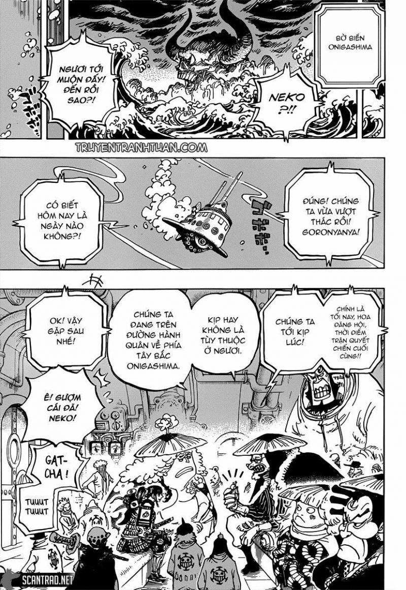 đảo hải tặc - one piece chapter 982 9