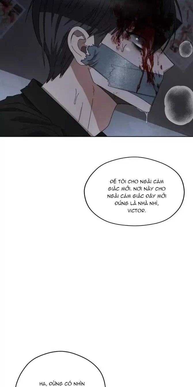 liveta chapter 35 62