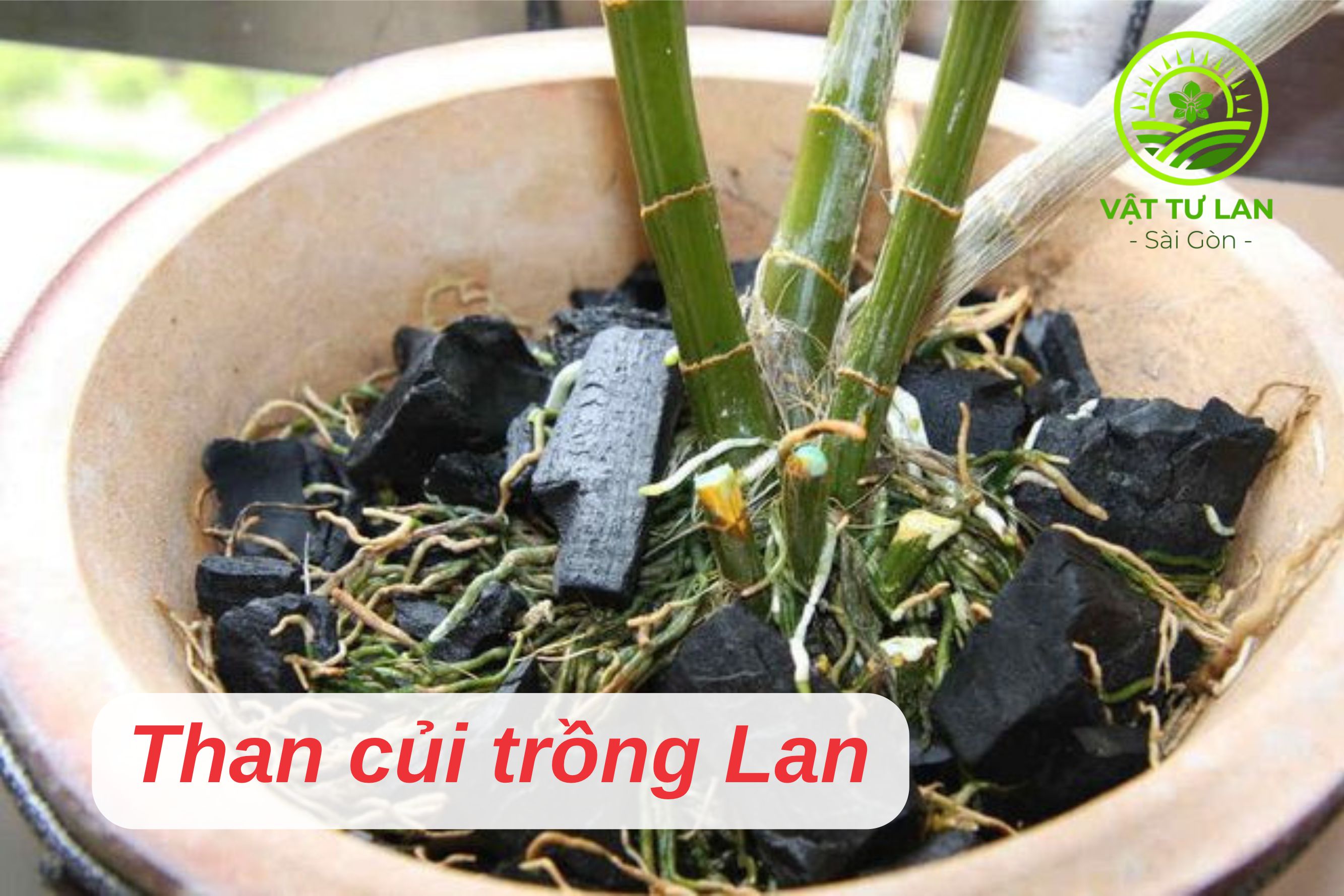 Than củi trồng lan đã qua xử lý bịch 0.5kg