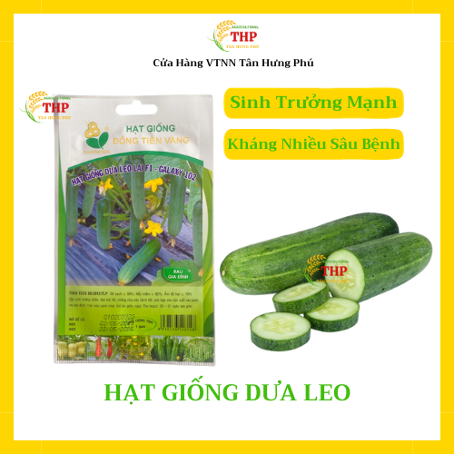 Hạt giống Dưa Leo lai F1 Galaxy 102 gói 1gr