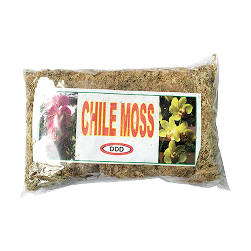 GÓI 200 GRAM - DỚN MỀM CHILE MOSS TRỒNG LAN