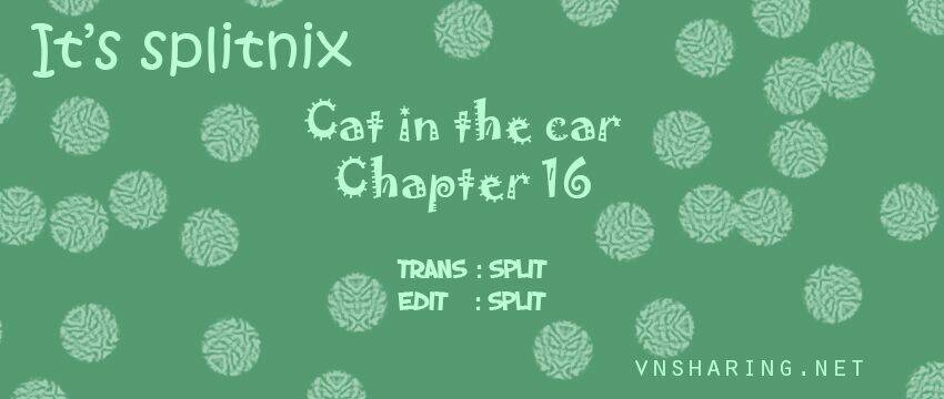 cat in the car chapter 16 1