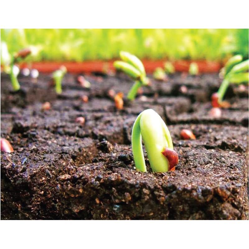 Đất Sạch Dinh Dưỡng, Sạch Mầm Bệnh - Đất Trộn Hỗn Hợp đem về sử dụng luôn