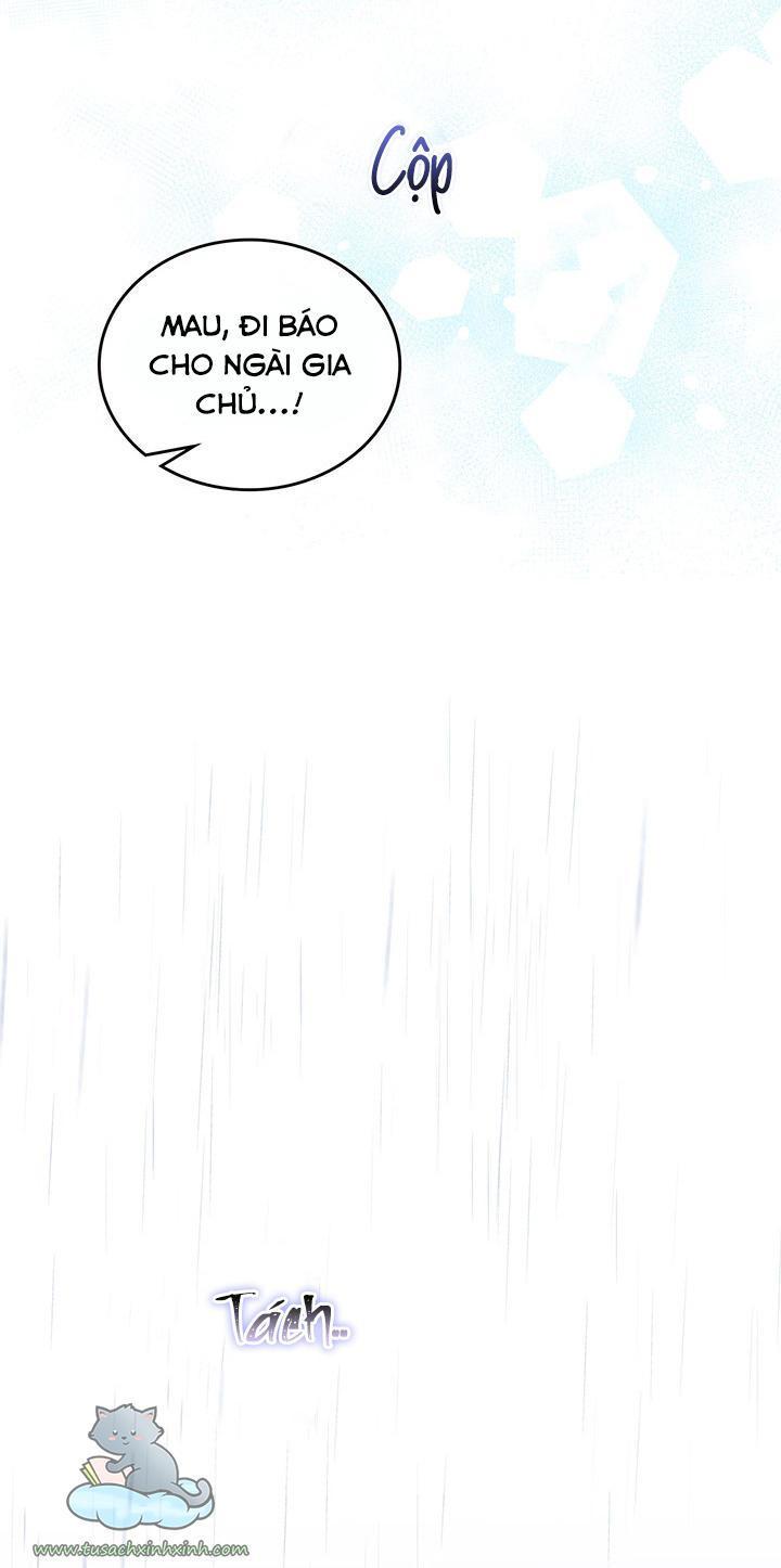 kiếp này ta sẽ trở thành gia chủ chapter 72 61